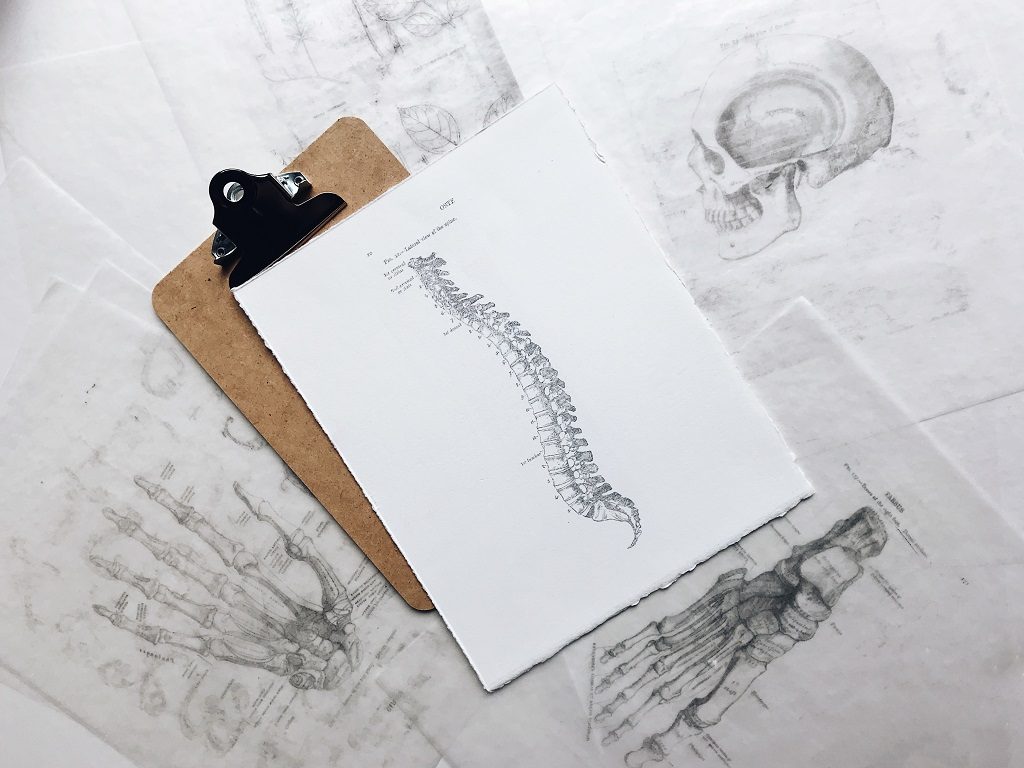 The Body Wellness Clinic Spine